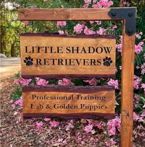 Little Shadow Retrievers sign "professional training lab & golden puppies"