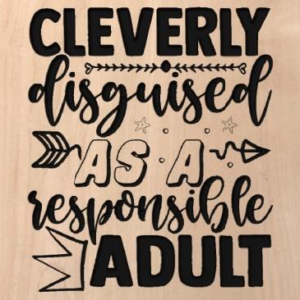 wood sign that says "cleverly disguised as a responsible adult"