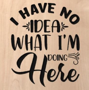 wood sign that says "I have no idea what I'm doing here"