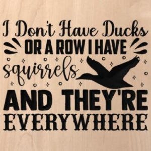 wood sign that says "I don't have ducks or a row I have squirrels and they're everywhere" with a duck silhouette