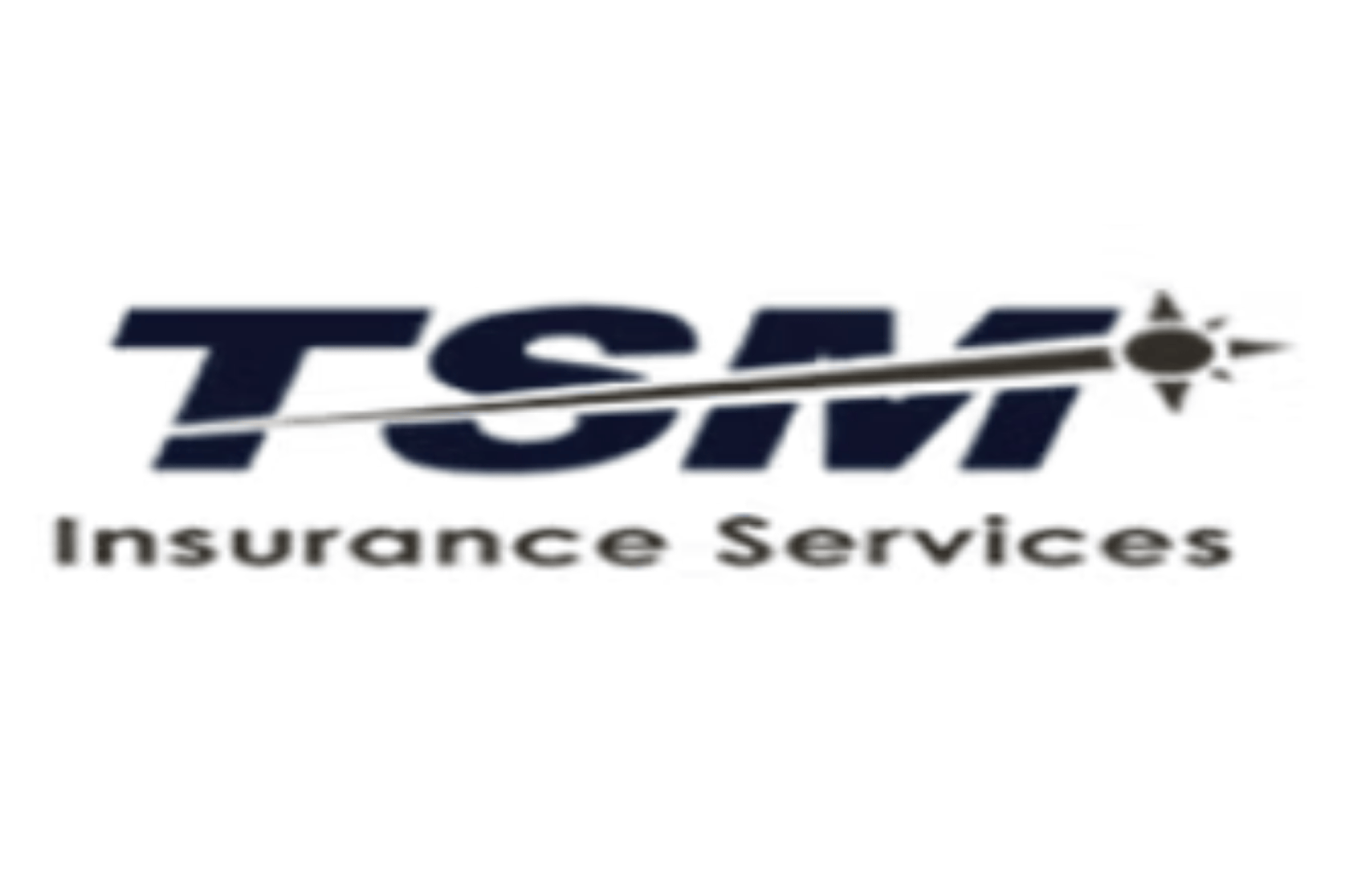 TSM Insurance Services logo