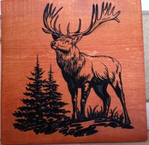 wood sign with realistic moose standing on ground in front of trees