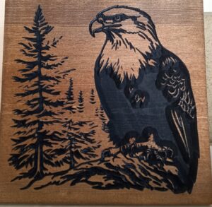 wood sign with realistic bald eagle sitting on a rock in front of trees